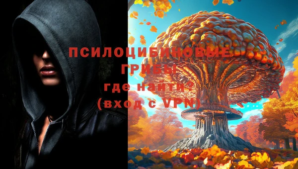 прущие крисы Дмитров
