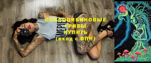 герыч Дмитриев