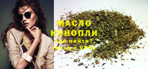 хмурый Дмитровск