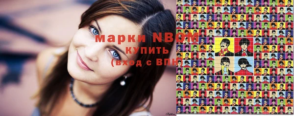 хмурый Дмитровск