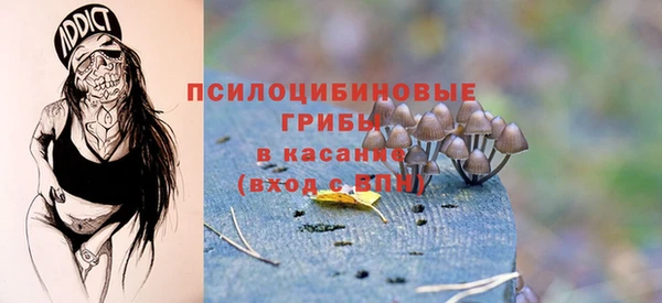 прущие крисы Дмитров